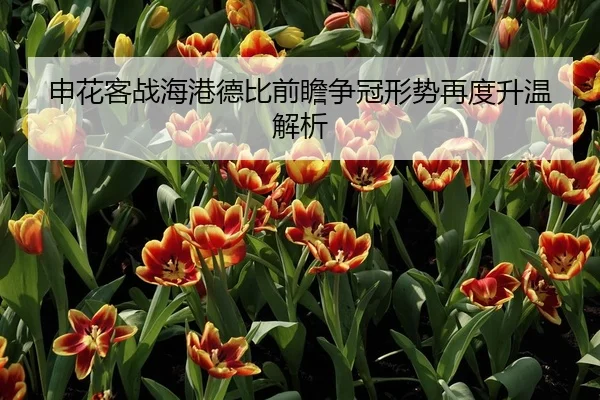 申花客战海港德比前瞻争冠形势再度升温解析